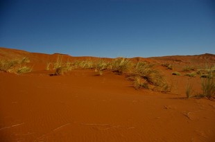 320 Namibia Okt 2006 .JPG